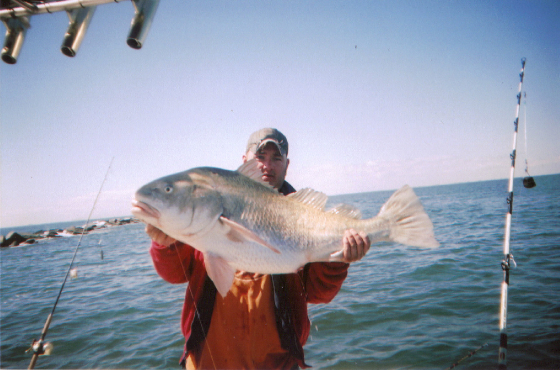 bigdrum2.jpg