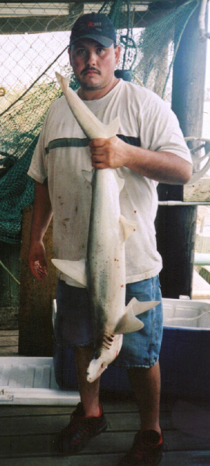 brandonshark.jpg