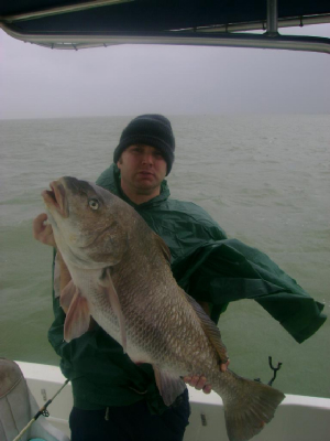 jimmyblackdrum.jpg