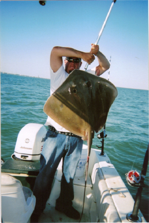 stingray.jpg