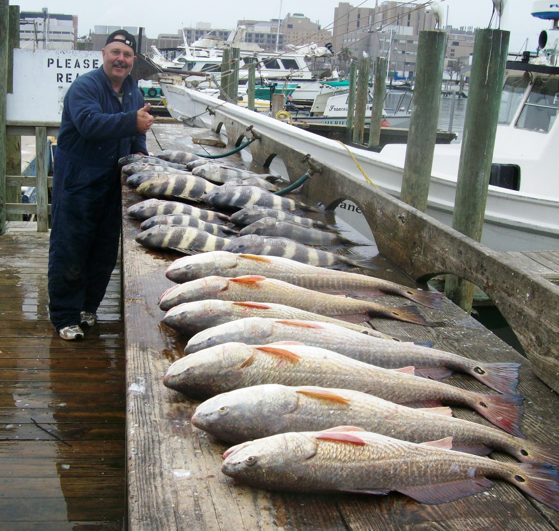 fish.jpg