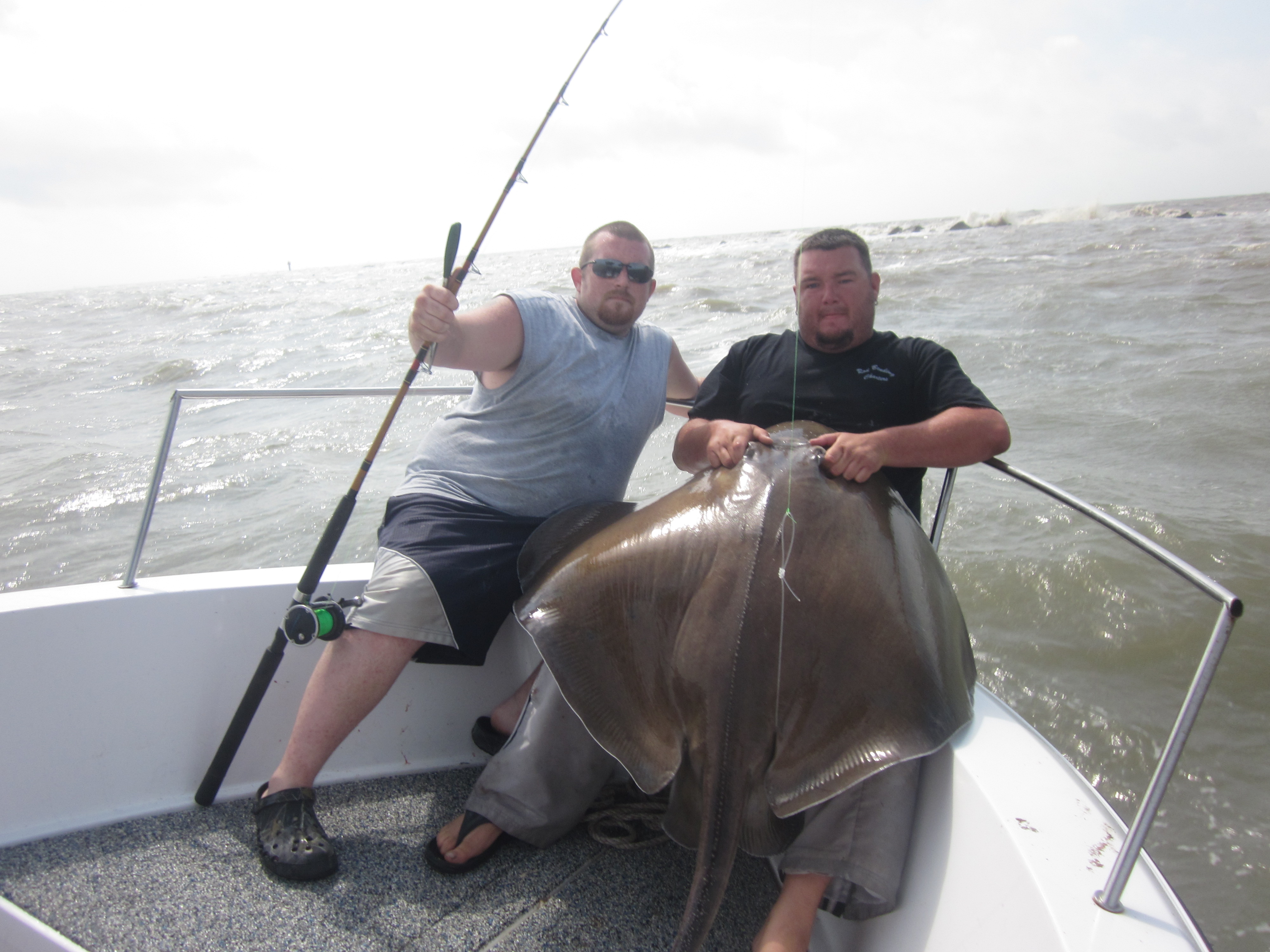 stingraybig.JPG