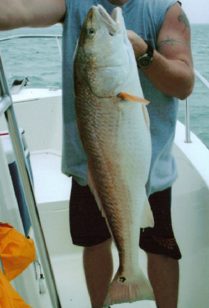 fishing4.jpg