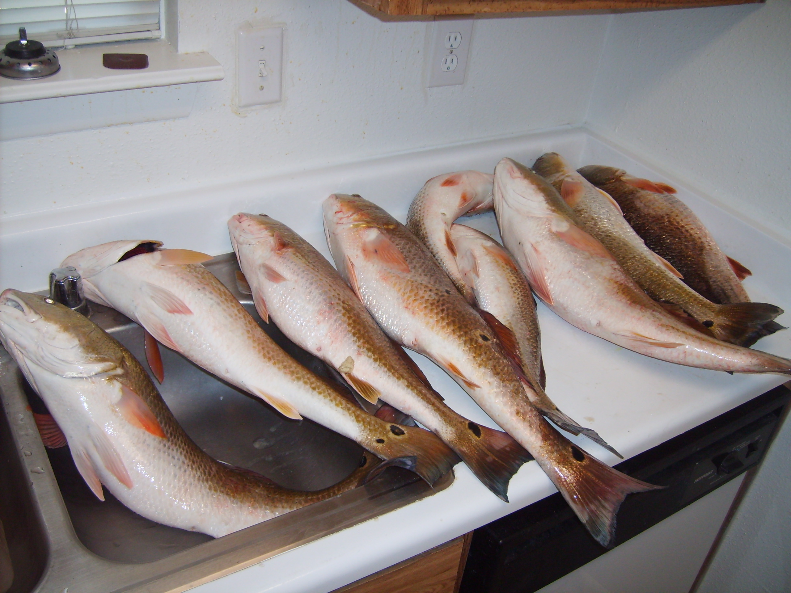 fishing10.JPG